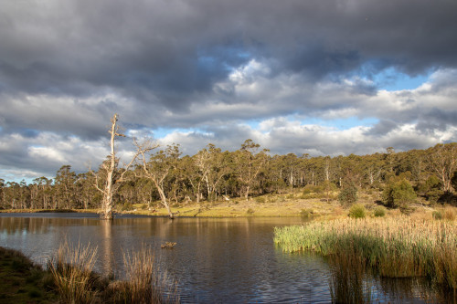 20221117T190013_00041