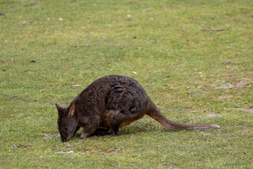 20221119T092711_1661