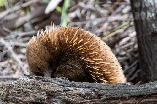 20221119T150913_1903