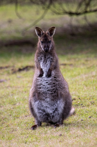 20221119T155406_1979