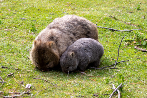 20221119T161808_2027