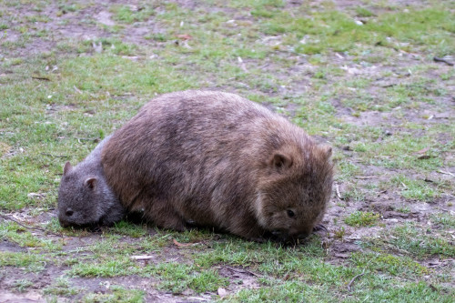 20221119T173812_2079