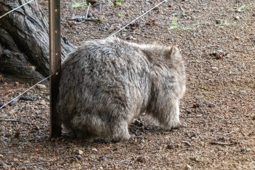 20221120T084534_2104