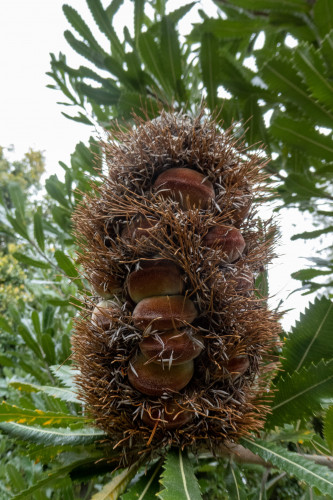 20221121T123840_2180