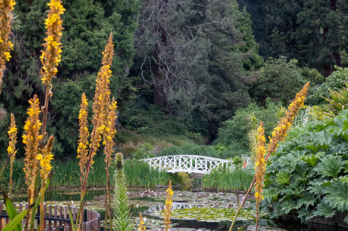 20221121T124158_2187