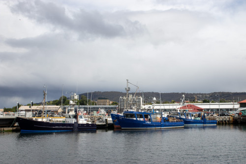 20221121T153437_2219