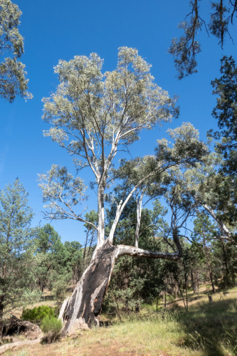 20221205T092914_2114