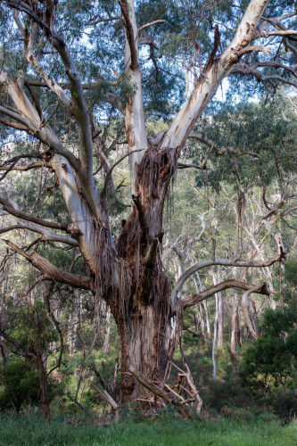 20221207T172057_0114