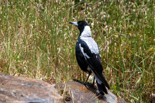 20221208T140326_0186