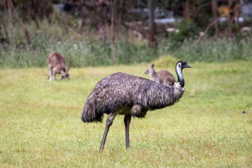 20221208T143524_0220