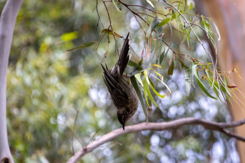 20221208T151159_0300