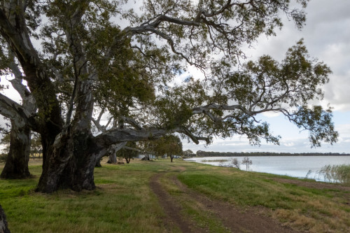 20221208T184415_3057