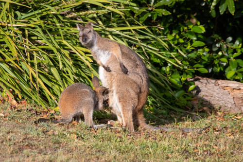 20221215T070332_0016