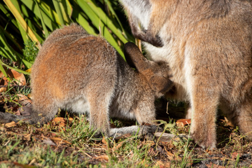 20221215T070928_1022