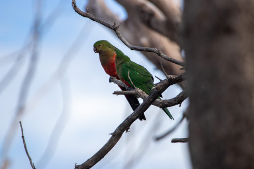 20221215T073523_1048