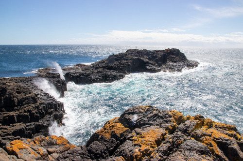 20221215T100314_1084