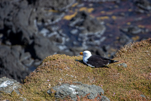 20221220T164021_2018