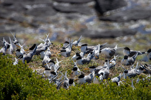 20221220T165213_2034