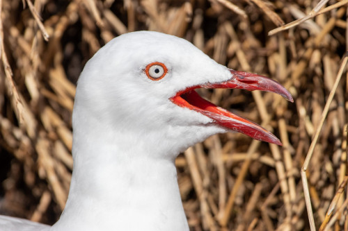 20221220T165422_2046