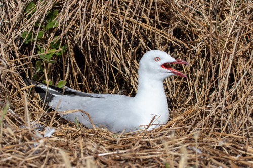 20221220T165440_2048