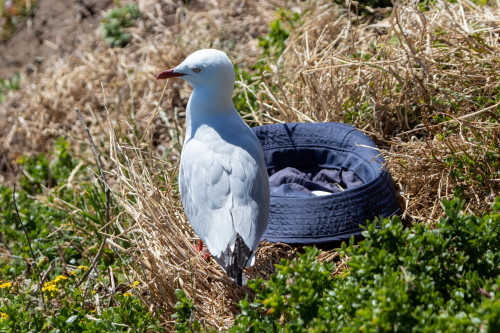 20221220T165932_2052