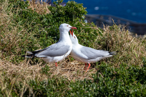 20221220T170054_2054