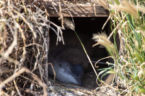 20221220T170722_2064