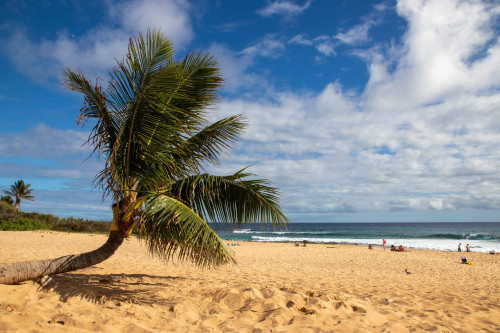 20221230T145257_4446