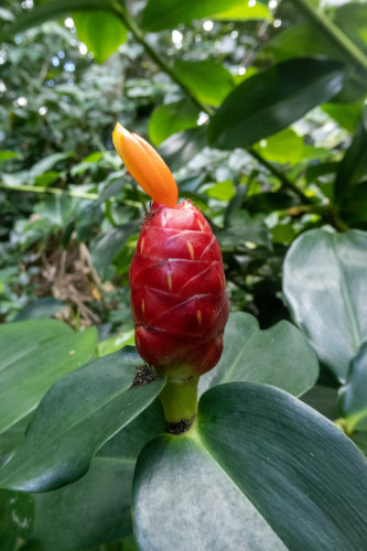 20221231T131357_4804