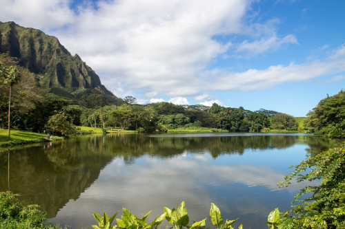 20221231T133319_0030