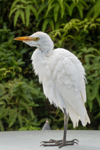 20221231T135516_4806