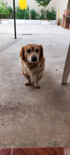 20230114T162009_4691