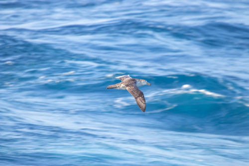 20230124T190013_0114