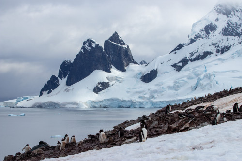 20230125T091229_0136