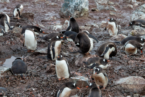 20230125T091444_0140