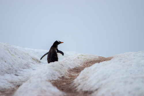 20230125T091844_0152