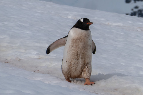 20230125T100815_0201