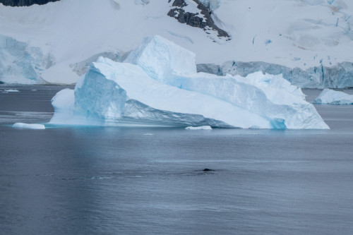 20230125T102229_0223