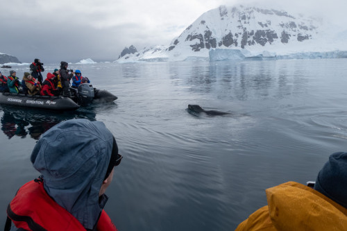 20230125T112354_0259