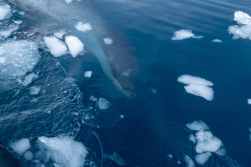 20230125T112526_0263