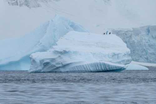 20230125T114455_0271