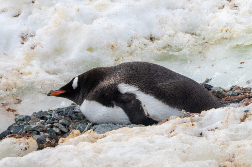 20230125T115946_0281