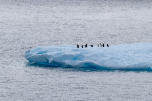 20230125T133515_0309