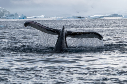 20230125T155041_0335