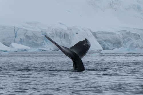 20230125T155930_0359