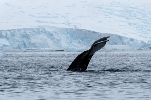 20230125T160014_0365