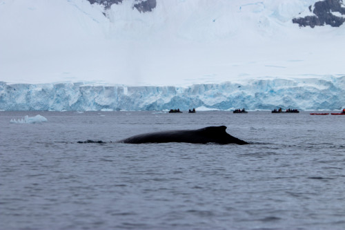 20230125T160800_0378