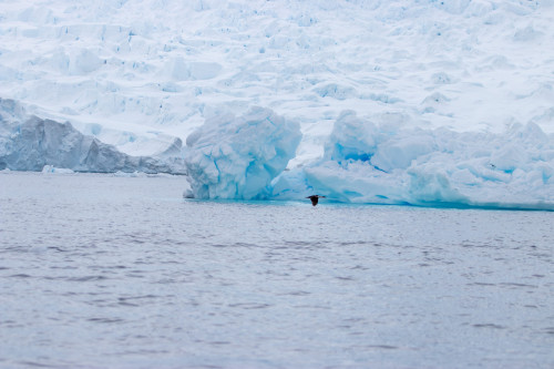 20230125T161101_0382