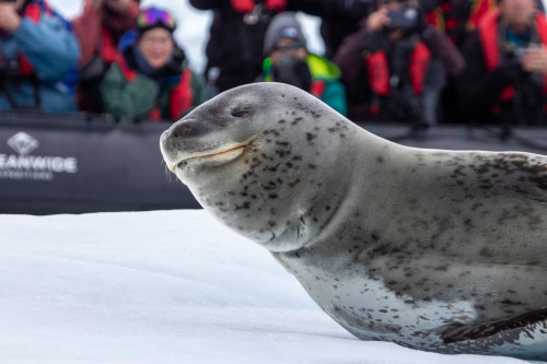 20230125T161516_0392