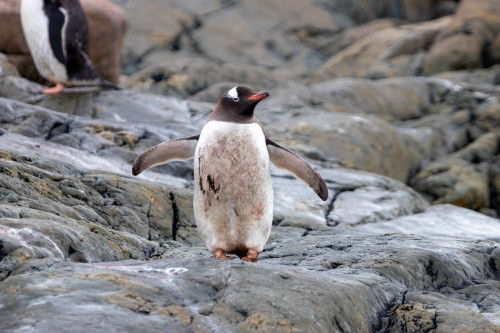 20230125T163511_0426